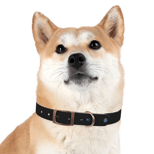 Blue Everyday Dog Collar — Durable Adjustable Pet Collar